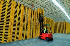 加快推進標準化托盤的循環(huán)共用意義重大